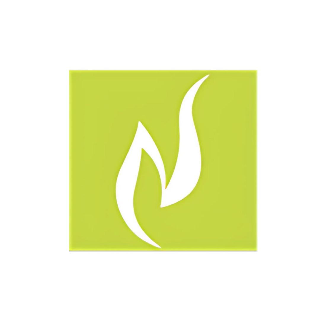 nambiarsohoofsiliconvalley.com favicon